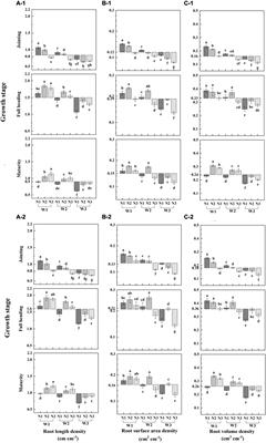 An Analysis Based on Japonica Rice Root Characteristics and Crop Growth Under the Interaction of Irrigation and Nitrogen Methods